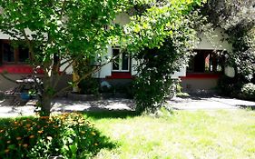 Pura Vida Hostel